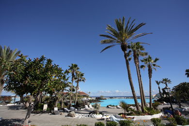 TENERIFE NORTE: PISCINAS 