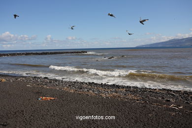 TENERIFE NORTE: PLAYAS 