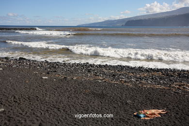 TENERIFE NORTE: PLAYAS 