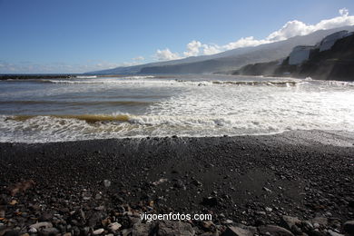 TENERIFE NORTE: PLAYAS 