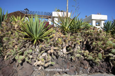 TENERIFE NORTE: PUEBLO 