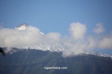 TENERIFE NORTE: PUEBLO 