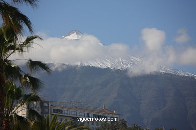 TENERIFE NORTE: PUEBLO 