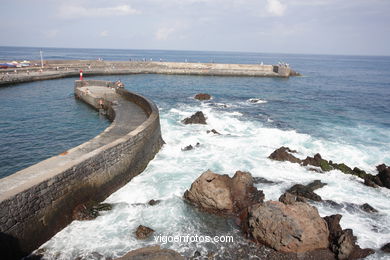 TENERIFE NORTE: PASEO MARTIMO 