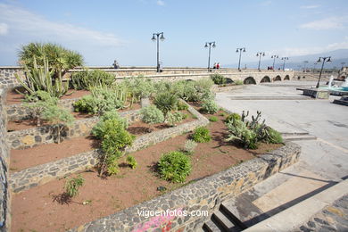 TENERIFE NORTE: PASEO MARTIMO 