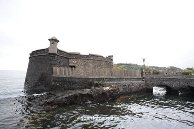 TENERIFE NORTE: ZONA PUERTO SANTA CRUZ 