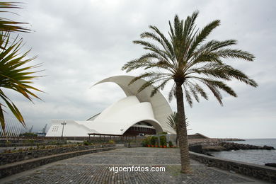 TENERIFE NORTE: ZONA PUERTO SANTA CRUZ 