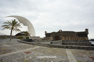 TENERIFE NORTE: ZONA PUERTO SANTA CRUZ 