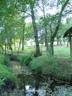 LAGO Castiñeiras