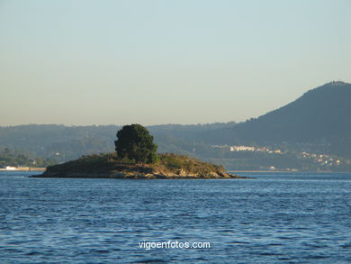 SALVADOSAS ISLANDS