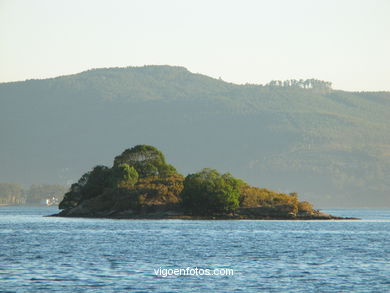 Islas Salvadosas