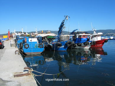 PUERTO DE SAN ADRIAN