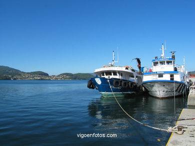 PUERTO DE SAN ADRIÁN